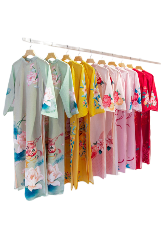 Vietnam Traditional Costume - Ao dai 1