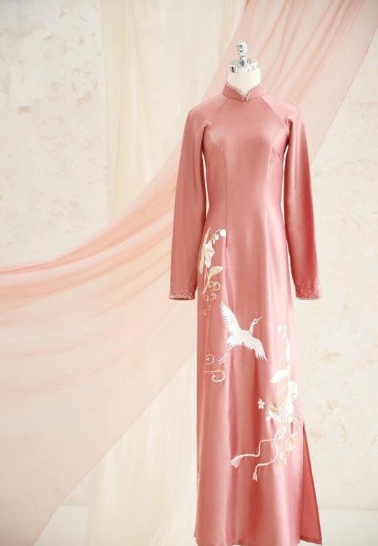 Vietnam Traditional Costume - Ao dai